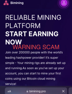 Bimining.pro