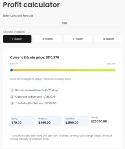 Crypto miner