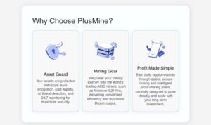 Plusmine