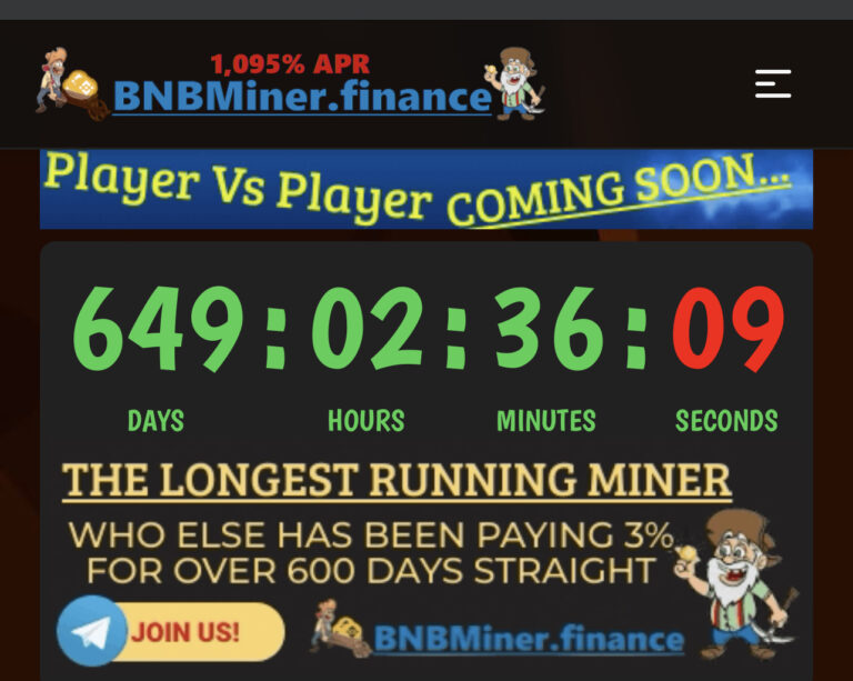 BnBminer